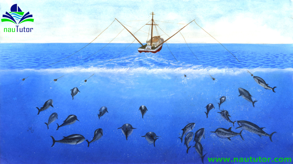 Long Line Tuna Fishing
