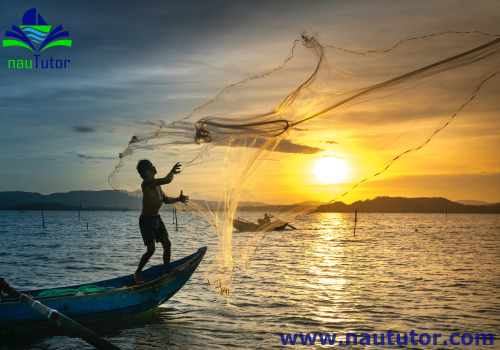 fishing with nets